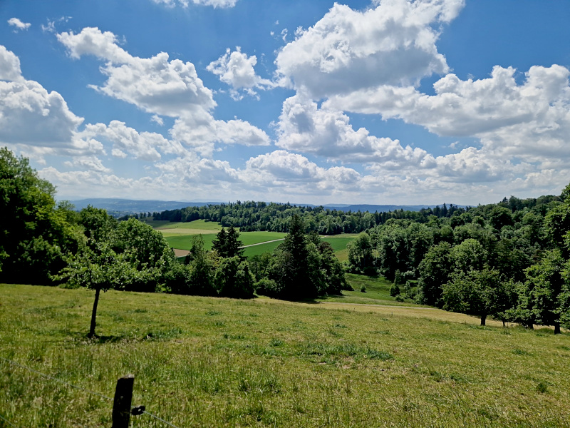 Near Kyburg